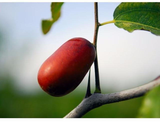 鐪熸瀛︽噦绾㈡灒鍜屽悆娉曪紝濡堝鑴歌壊绾㈡鼎浜嗭紝瀛╁瓙鎶垫姉鍔涘寮轰簡锛? onerror=