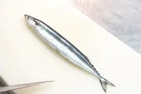 新鲜秋刀鱼的处理，原来鲜鱼鱼身还有一层膜