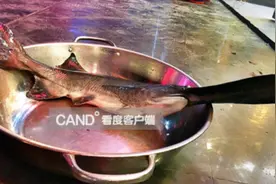 成都餐馆卖“怪鱼”：周身没有鳞片 嘴巴像搓衣板图片