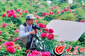 桑秋华延时摄影《国花神韵》 菏泽牡丹走红网络图片