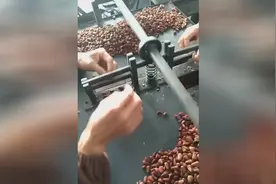 松子是这样开口了，那么贵的东西原来是贵在手工上！视频封面