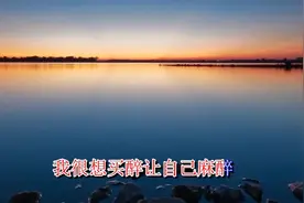 苦苦的追求你所谓的完美我把自己管在高墙内还会像以前那样爱我么视频封面