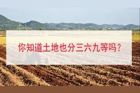 80%的农民都不知道，你家的地早就被偷偷标上了等级！视频封面