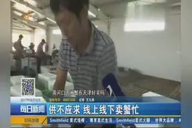 黄河口大闸蟹喜迎收获视频封面