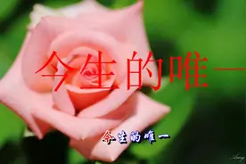 亲爱的，上午好！我今生只爱你一个，不离不弃！你就是我的唯一视频封面