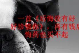 一首《后悔没有好好珍惜你》，再有钱后悔药也买不起视频封面