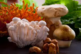 揭秘：味美的菌菇，没有你想象的那么神奇！图片