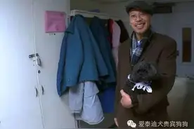 会坐电梯的茶杯泰迪，陪伴整个养老院的老人，看完我哭了！图片