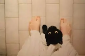 我与喵星人争宠女主的日子图片