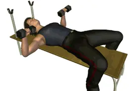 哑铃训炼胸肌动作，解说超详细图片