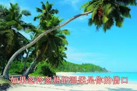 我猜不透你的心是不是真的也喜欢我视频封面