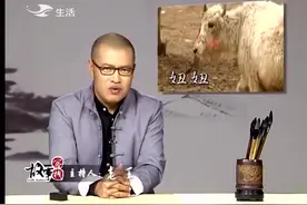 牦牛误闯猛兽老虎区，引发了一场大战视频封面