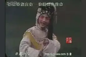 原南阳县豫剧团演出豫剧《白蛇传》断桥一场 徐德敏、闫中强主演视频封面