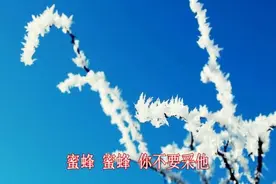 一首《蘑菇之歌》好听的让你无法自拔！