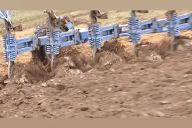 奶牛场粪便，直接用粪便撒肥机撒粪，再使用耕地机进行翻转深埋