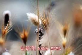 不要对我這麽冷漠，我也是有思维的人