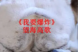 《我要爆炸》望海高歌好听至极了