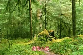 香香一首《初见爱已晚》百听不厌，感觉超棒！视频封面