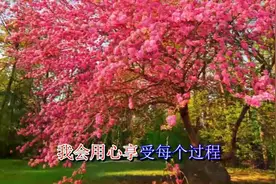 暴林 如果爱可以重来 我愿为你放弃一切