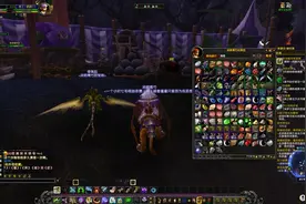 魔兽世界官服：连续开了五个一袋好东西，开出来的真的是好东西么视频封面