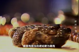 中国某地煤矿惊现琥珀，多的让人不敢相信自己的眼，这下发财了！视频封面