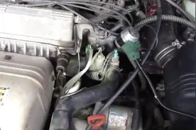 自己车的发动机编号你清楚吗？看完才发现原来这么简单视频封面