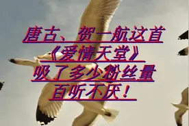 唐古、贺一航这首《爱情天堂》吸了多少粉丝量，百听不厌！视频封面