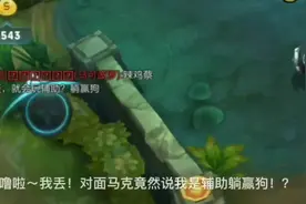 马可波罗：辣鸡蔡文姬就会玩辅助，躺赢狗！丫的有种单挑啊！视频封面