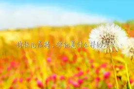你住几层楼，你就是什么样的人，说到心窝里去了视频封面