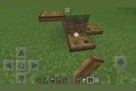 我的世界简易自动小鸡捕捉笼教学