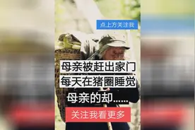 母亲被赶出家门：每天在猪圈睡觉，母亲的却……视频封面