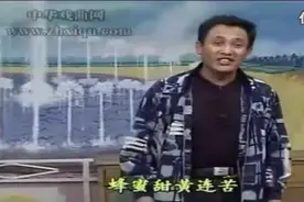 民间小调《13个月大实话》豫东第一名丑陈建设演出视频封面