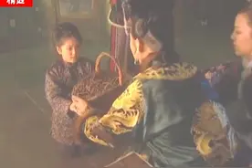 五岁小女孩治疗天花，只需一种喂牛的芨芨草挽救一个江山