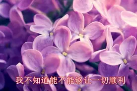 一首《女孩与四重奏》听着我醉在其中，好听！视频封面