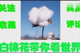 走进非洲：赞比亚街头偶遇中国银行，安保设施做的很好视频封面