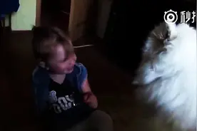 如何哄女朋友开心~撩妹技能你会输给一只狗狗吗？图片