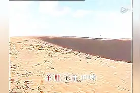 羊肚子手巾三道道蓝 丨孙志宽演唱·陕北民歌第7期图片