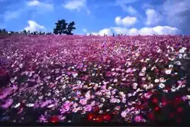 一首十分好听的日语歌，静静听的时候整个世界都安静了！图片