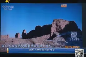 央视《远方的家》播出“山丹长城  锁控河西” 各界反响热烈视频封面