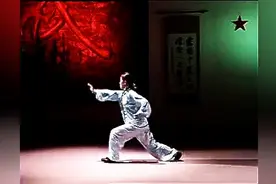 被忽略的汉族武术拳种 之潭腿图片