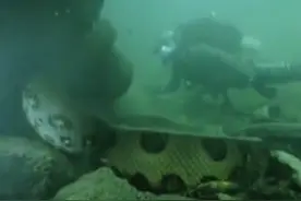 主持人亚马逊河潜水拍摄，突遭遇90公斤巨蟒恐怖现场视频封面