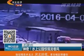 石家庄水上公园惊现“龙卷风”画面震撼似大片!视频封面