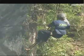 这人用绳索吊在悬崖峭壁上摇摇晃晃，原来是为了这个好东西图片