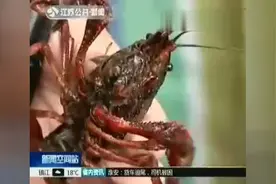 女孩吃小龙虾竟咳血 小龙虾寄生虫太惊人视频封面