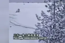 前苏联爱情歌曲《小路》（俄文及中文演唱）图片