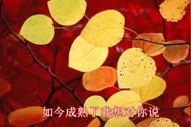 一首值得我用一生来怀念的歌视频封面