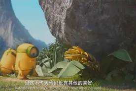 小黄人原来是这样来的，哪个成为主人哪个就死，没眼看视频封面