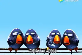赣榆方言：逗比小鸟会赶喜    爆笑配音图片