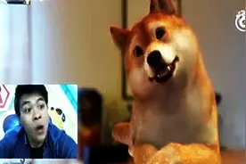 狗狗成精了，竟然会模仿秀，实在太萌太搞笑了~图片