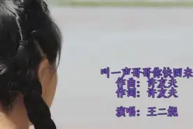 王二妮《叫一声哥哥你快回来》唱的好甜美啊图片